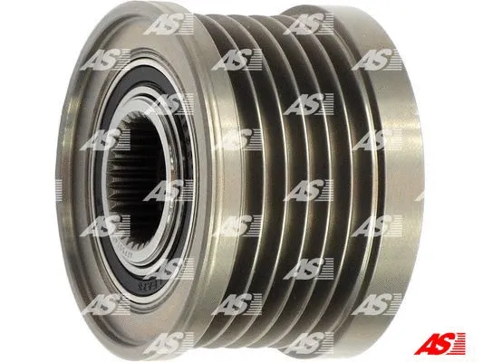 Alternator Freewheel Clutch (AFP5014(V))