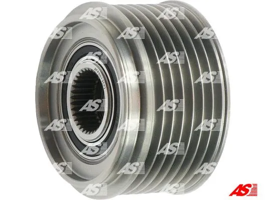 Alternator Freewheel Clutch (AFP0013(V))