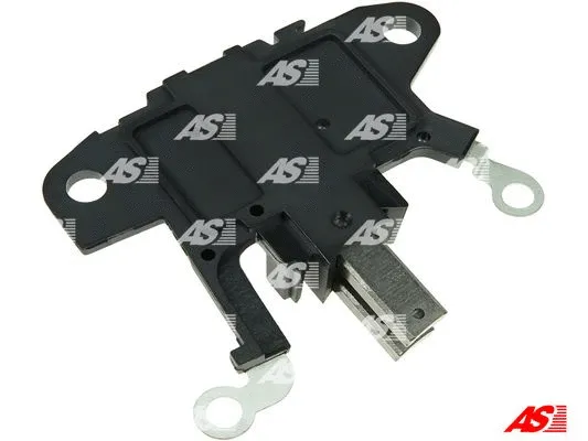 Holder, carbon brushes