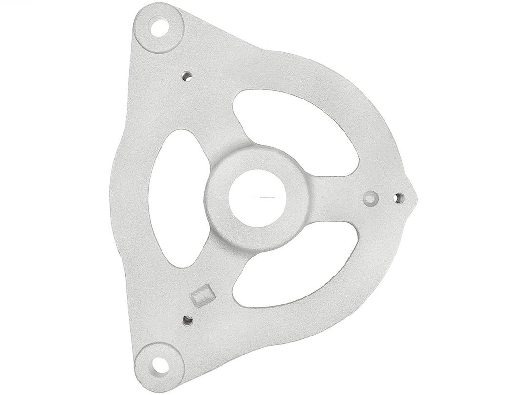 Bracket, alternator drive flange (ABR4071S)
