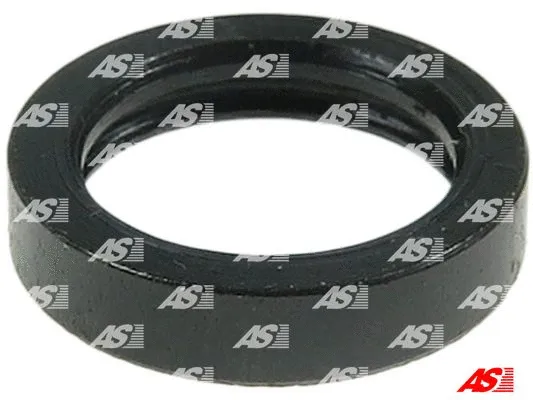 Repair Kit, starter (SRS3021)