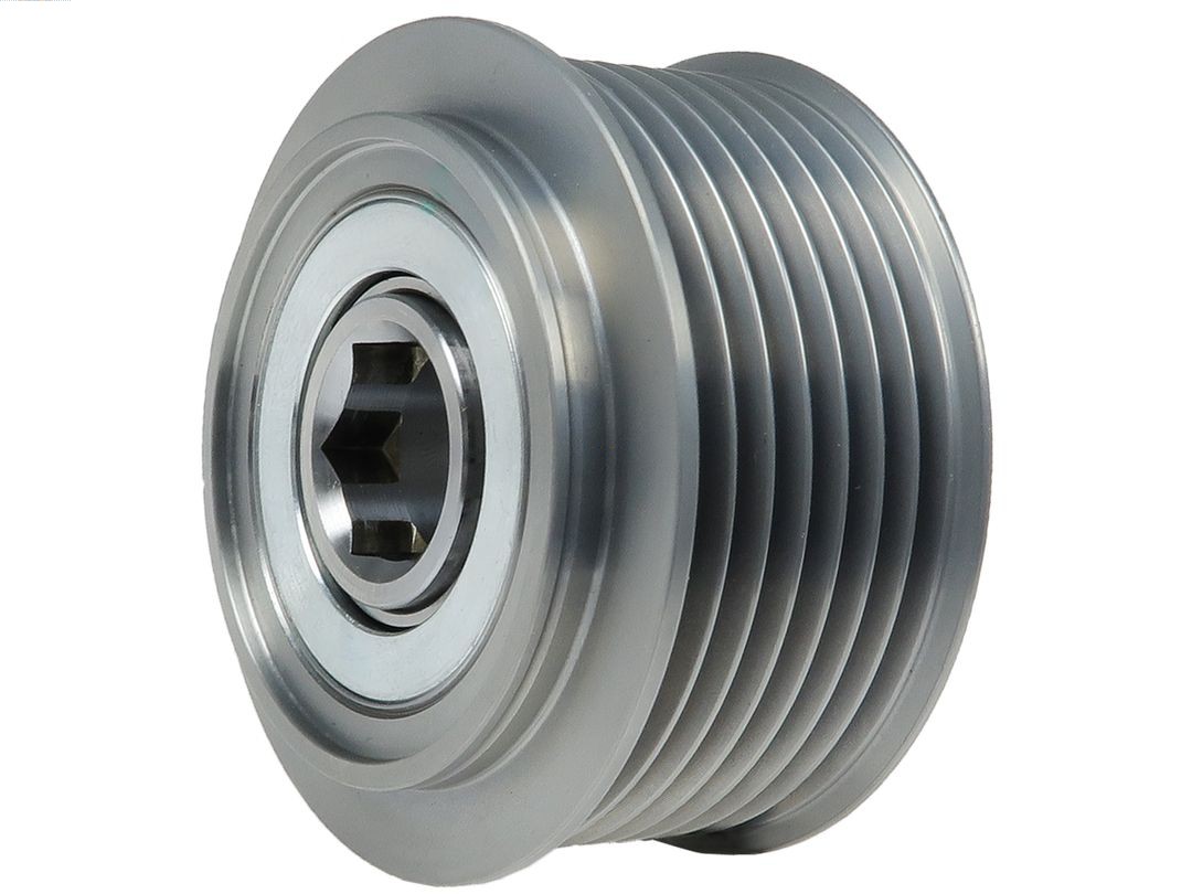 Alternator Freewheel Clutch (AFP5054S)