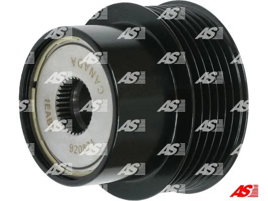 Alternator Freewheel Clutch (AFP0090(LITENS))