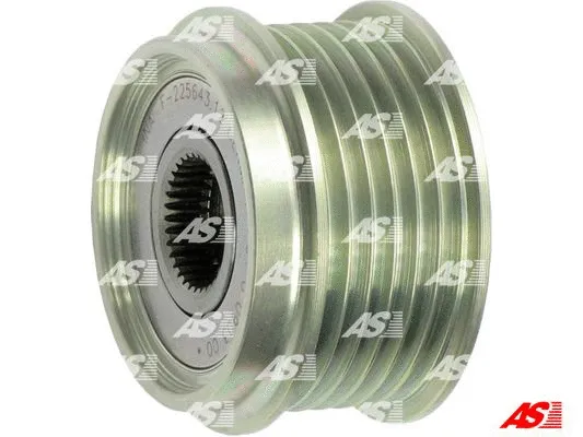 Alternator Freewheel Clutch (AFP0002(INA))