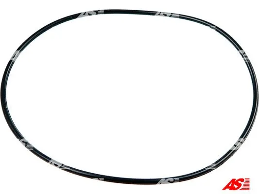 Repair Set, alternator (SRS0088)