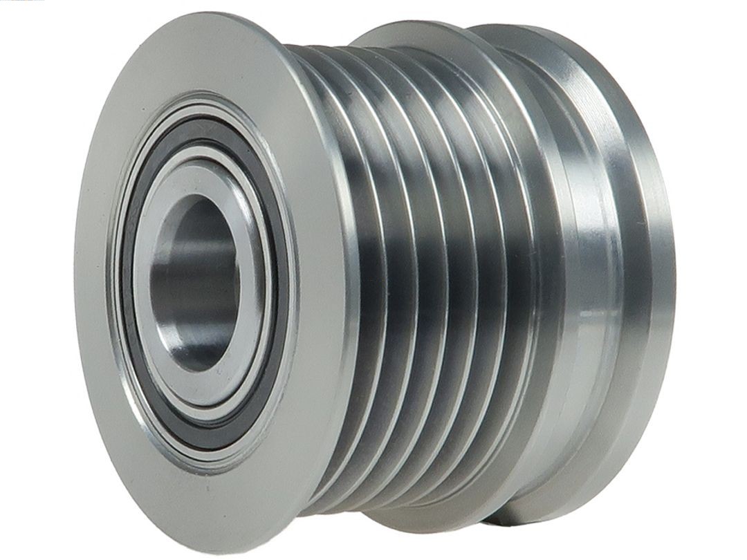 Alternator Freewheel Clutch (AFP0134S)