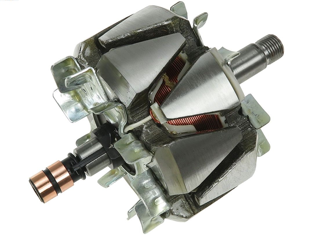 Rotor, alternator (AR0046)