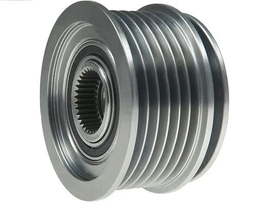 Alternator Freewheel Clutch (AFP0023(V))