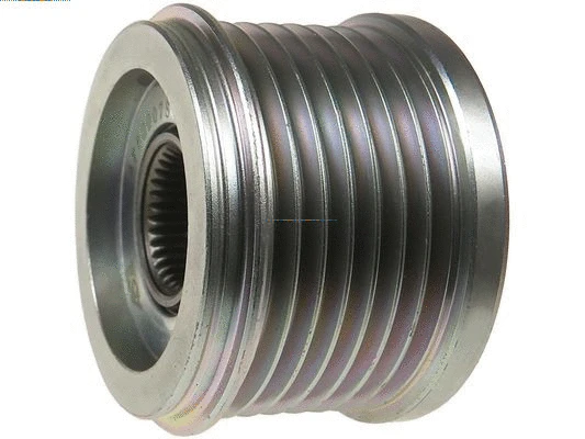 Alternator Freewheel Clutch (AFP2007S)