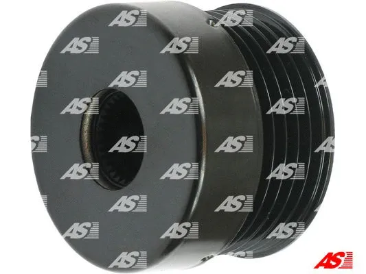 Alternator Freewheel Clutch (AFP0091(LITENS))
