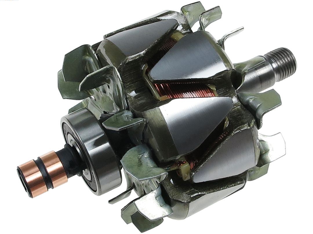 Rotor, alternator (AR0111S)