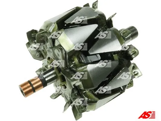 Rotor, alternator (AR3007)