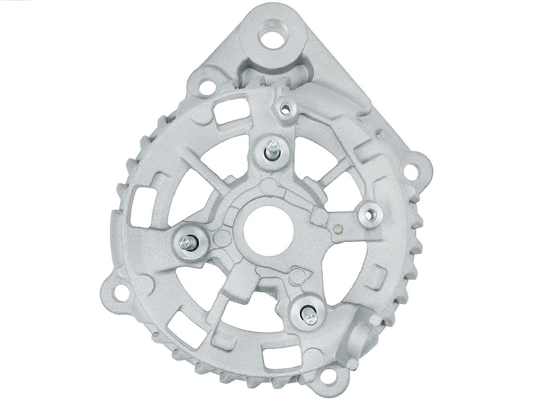 Bracket, alternator drive flange (ABR6167S)