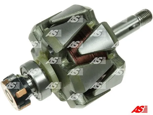 Rotor, alternator (AR4011S)