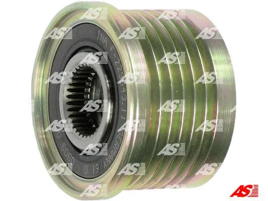 Alternator Freewheel Clutch (AFP3002(INA))