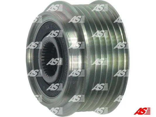 Alternator Freewheel Clutch (AFP2002(INA))