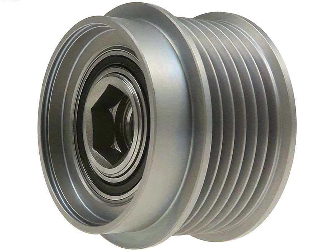 Alternator Freewheel Clutch (AFP6106S)