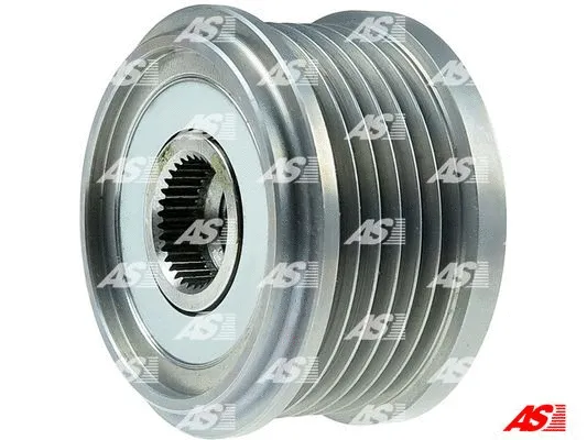 Alternator Freewheel Clutch (AFP1003)