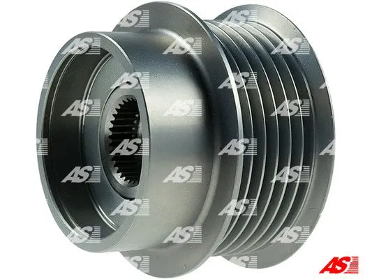 Alternator Freewheel Clutch (AFP0095)