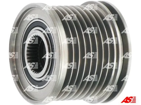 Alternator Freewheel Clutch (AFP0049(V))