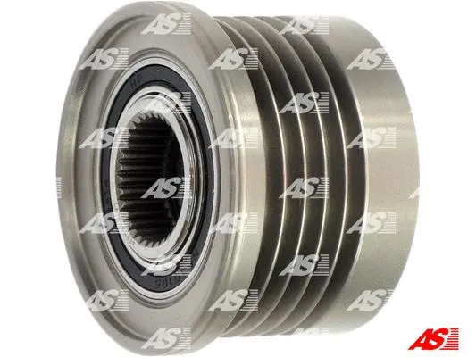 Alternator Freewheel Clutch (AFP3011(V))