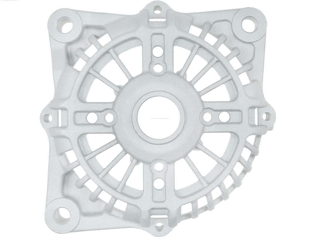 Bracket, alternator drive flange (ABR5196S)