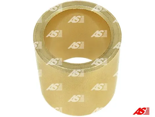 Bush, starter shaft (SBU9101)