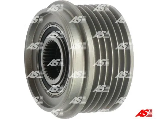 Alternator Freewheel Clutch (AFP0024(V))