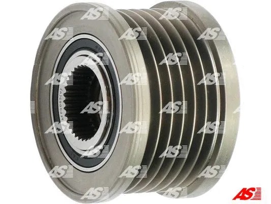 Alternator Freewheel Clutch (AFP0065(V))