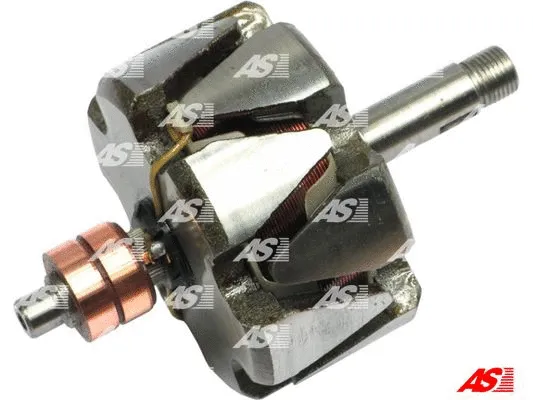 Rotor, alternator (AR0030)