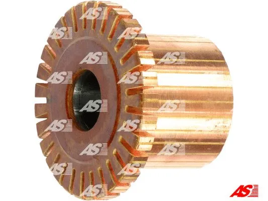 Armature, starter (SAC0001)