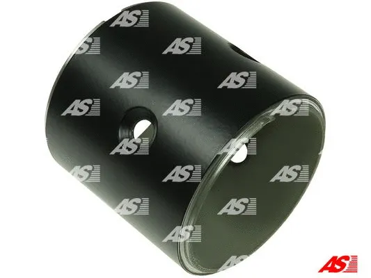 Field Winding, starter (SF6010)