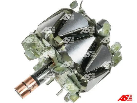 Rotor, alternator (AR6030S)