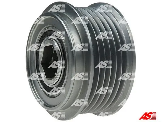 Alternator Freewheel Clutch (AFP6082S)