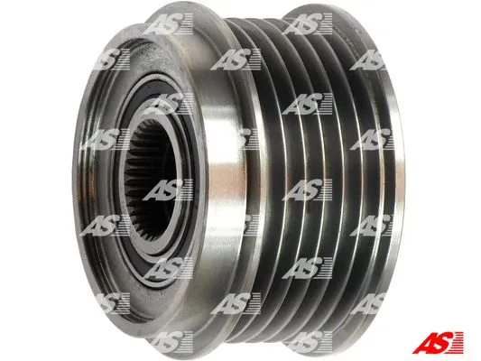 Alternator Freewheel Clutch (AFP3006(V))