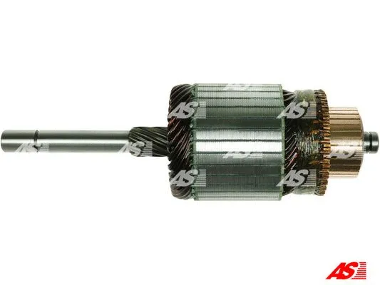 Armature, starter (SA2004)