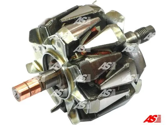 Rotor, alternator (AR6013)