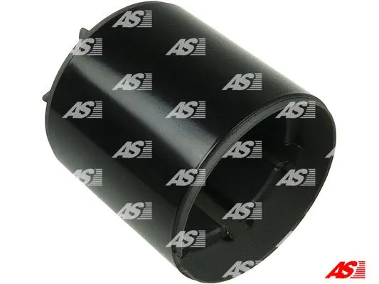 Field Winding, starter (SF5035S)