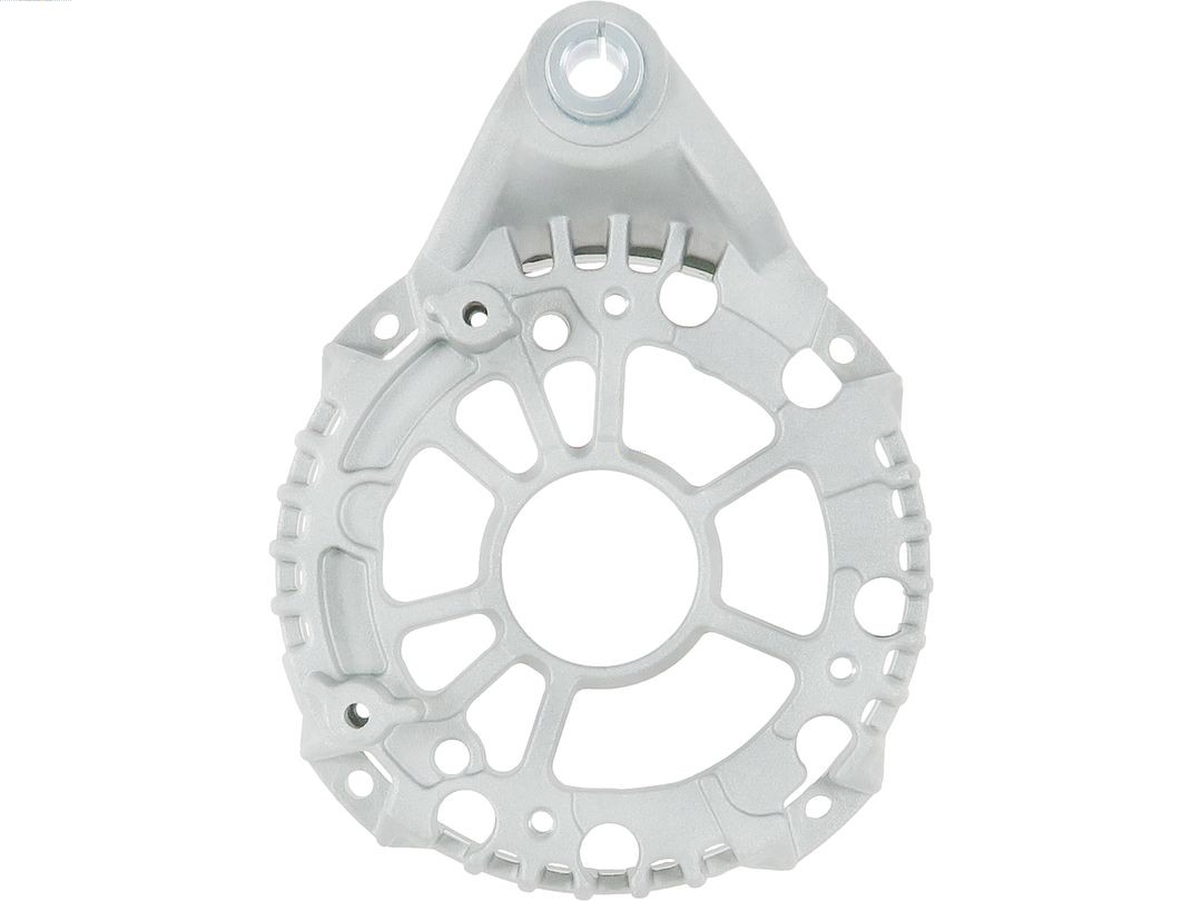 Bracket, alternator drive flange (ABR0291S)
