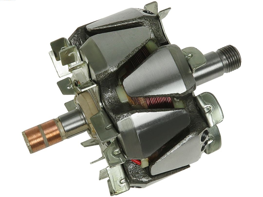 Rotor, alternator (AR9038S)