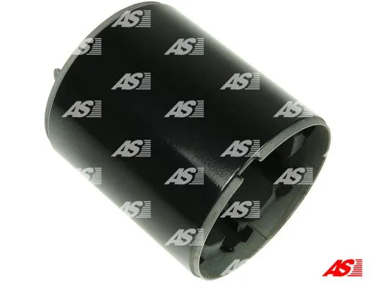 Field Winding, starter (SF3019S)