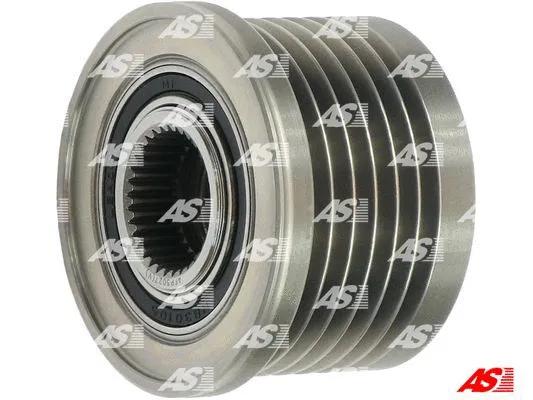 Alternator Freewheel Clutch (AFP3027(V))