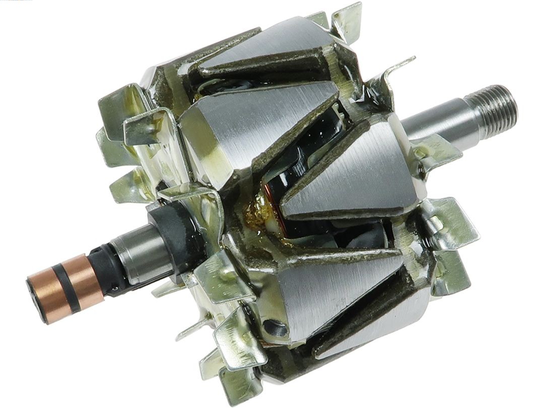 Rotor, alternator (AR0124S)