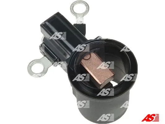 Holder, carbon brushes