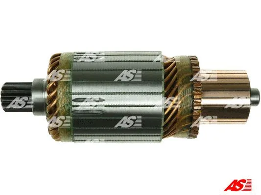 Armature, starter (SA2005)