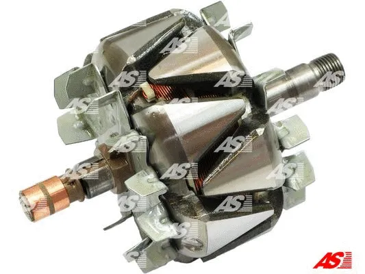 Rotor, alternator (AR0048)