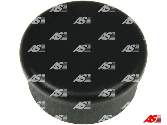 Starter Lid, carburettor (SRS0169S)