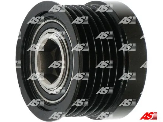 Alternator Freewheel Clutch (AFP6036)
