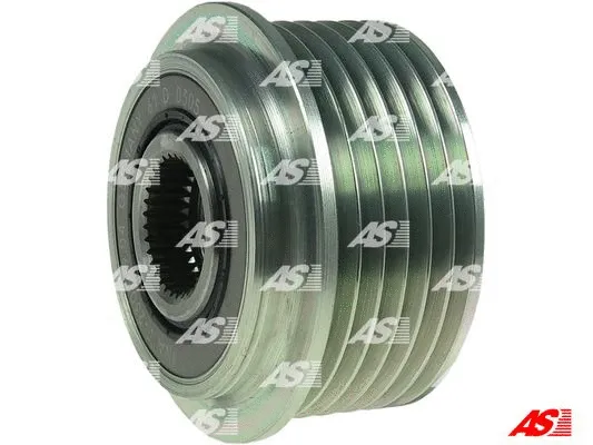 Alternator Freewheel Clutch (AFP0024(INA))