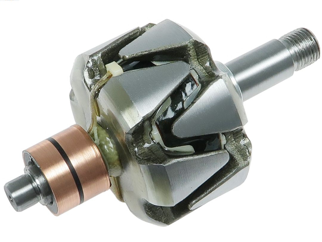 Rotor, alternator (AR9050S)